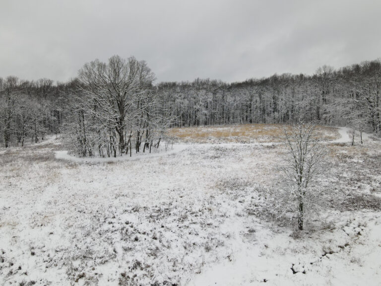 A snowy landscape of meadow and a grove of trees at Crow's Nest Preserve.