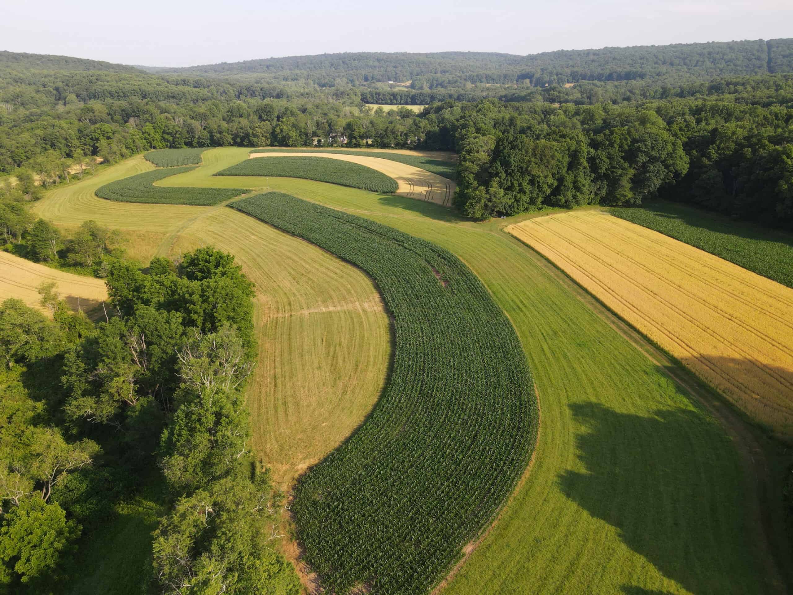 An aerial view of crop strips and hedgerows at Crow's Nest Preserve