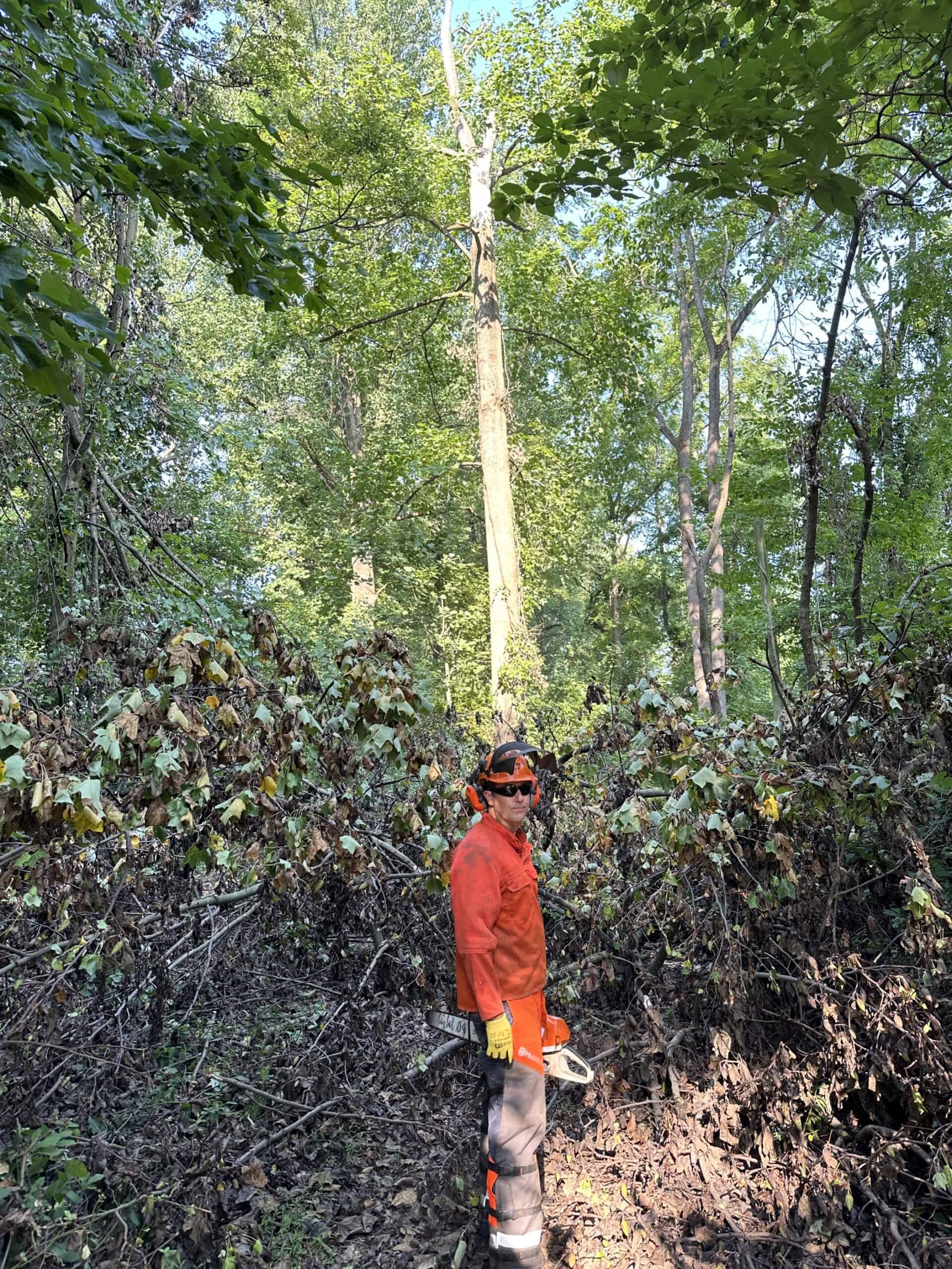 Cody clearing a trail of downed trees.