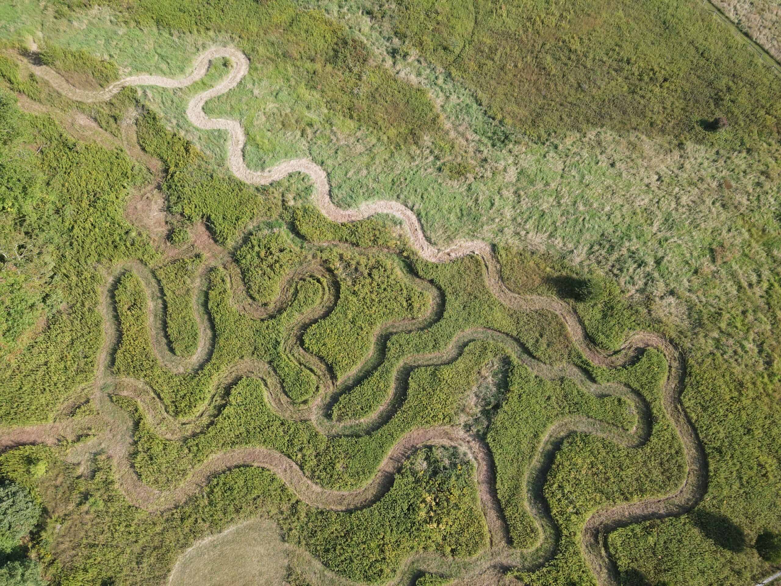 Almost abstract erial view of squiggles of mowed areas in a meadow