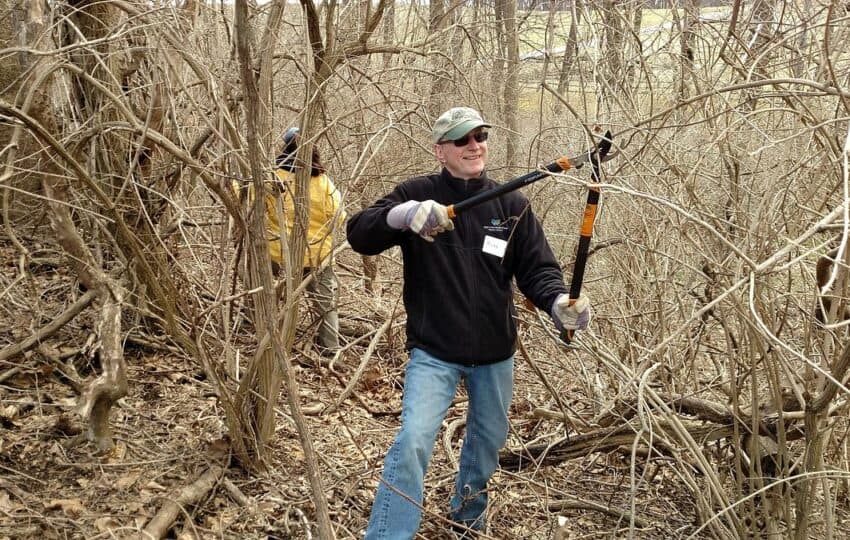 FON Volunteer Class 2019 training at ChesLen. Russ Applegate cutting invasives.