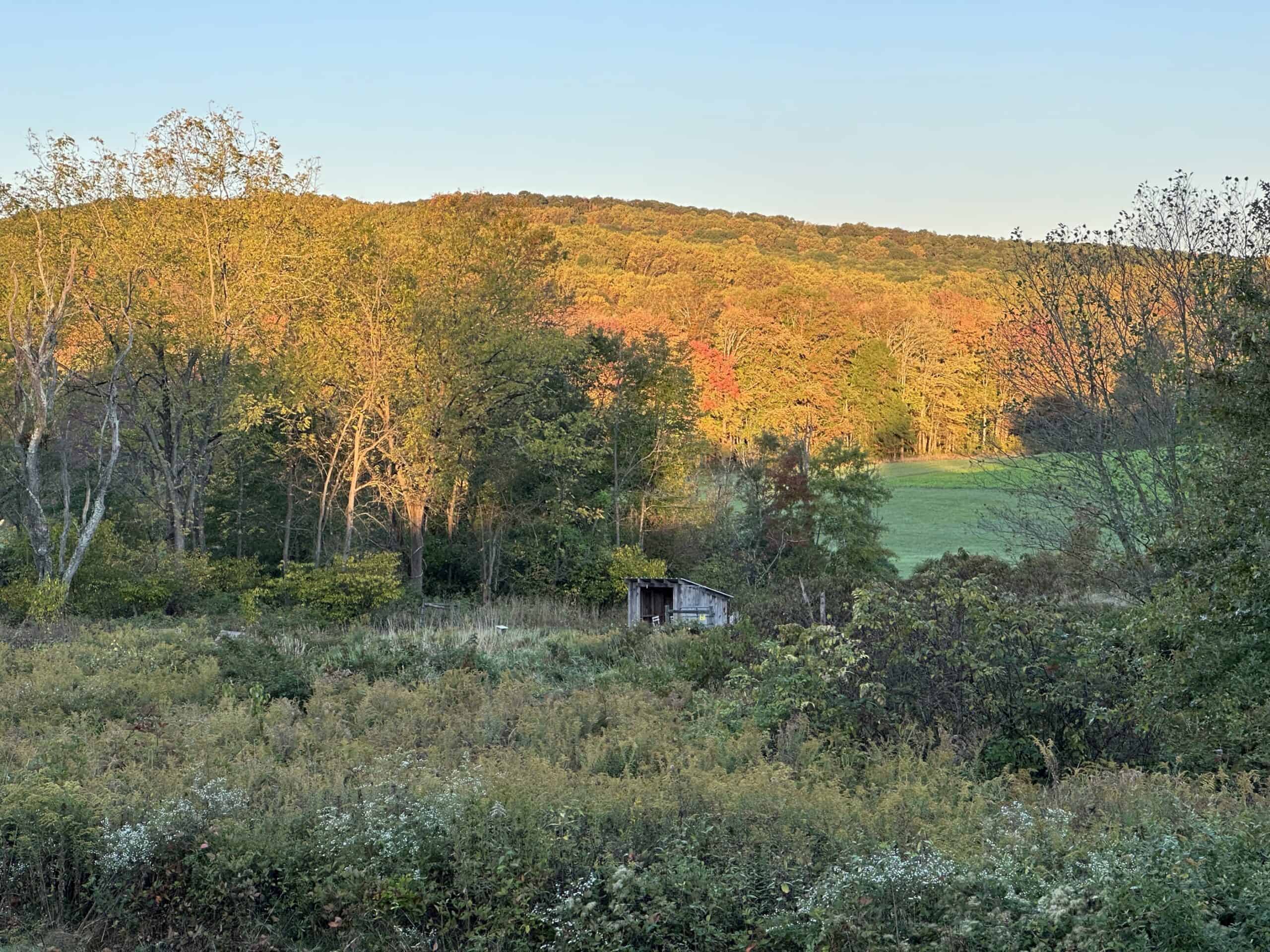 Beginnings of fall color in the trees on the hills around Crow's Nest Preserve.