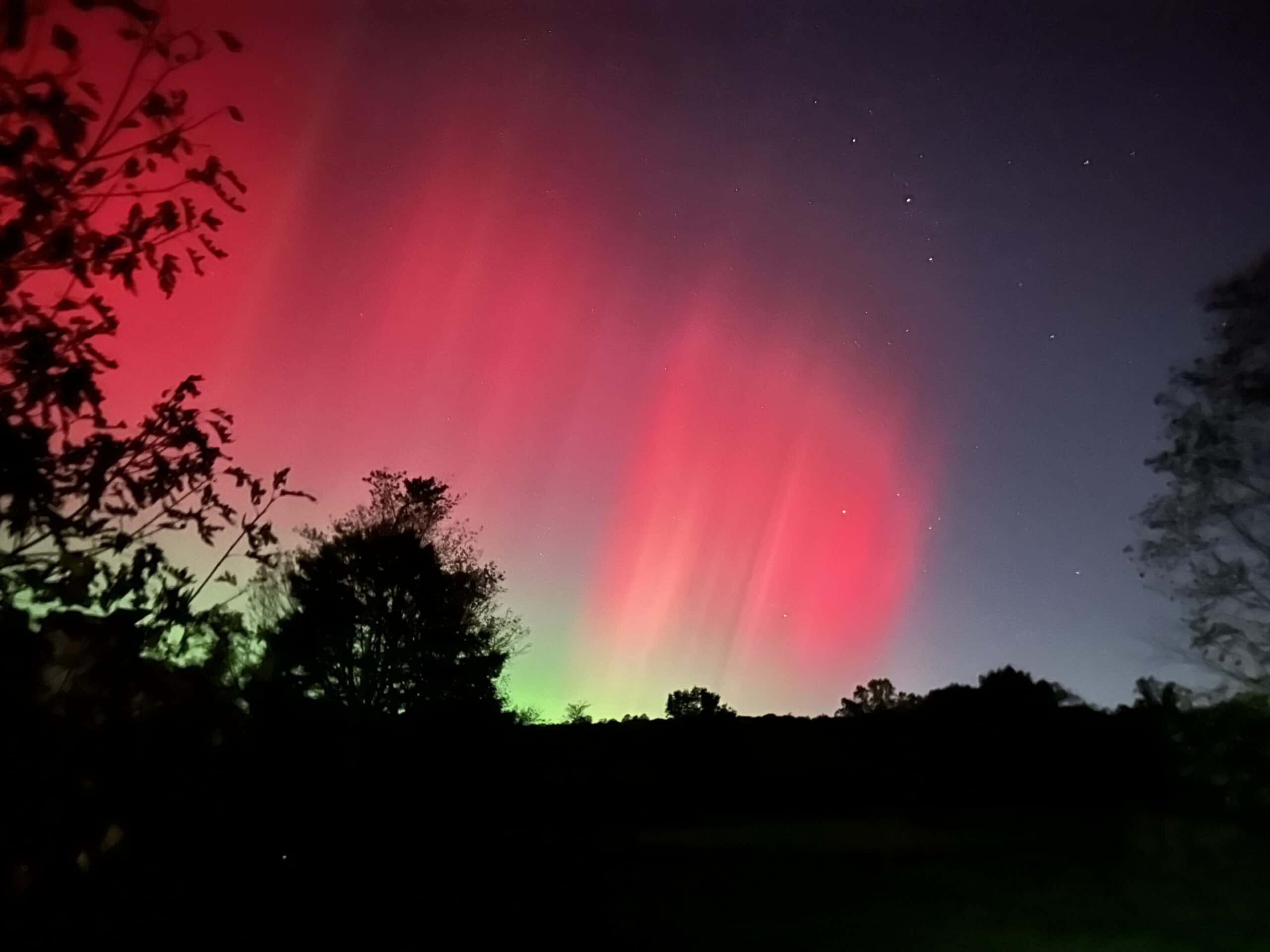 The Aurora borealis above some trees.