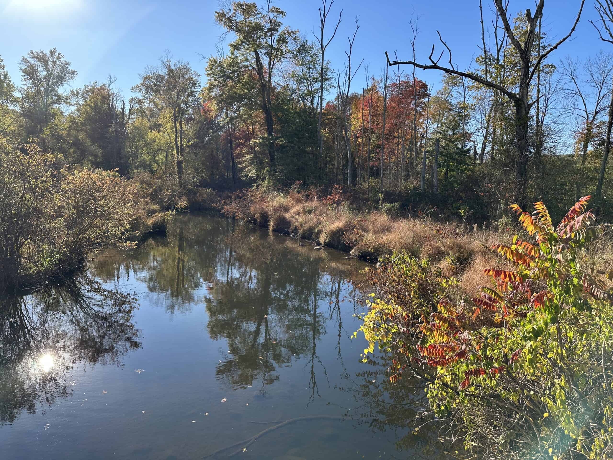 French Creek with trees reflected in it and fall color on leaves