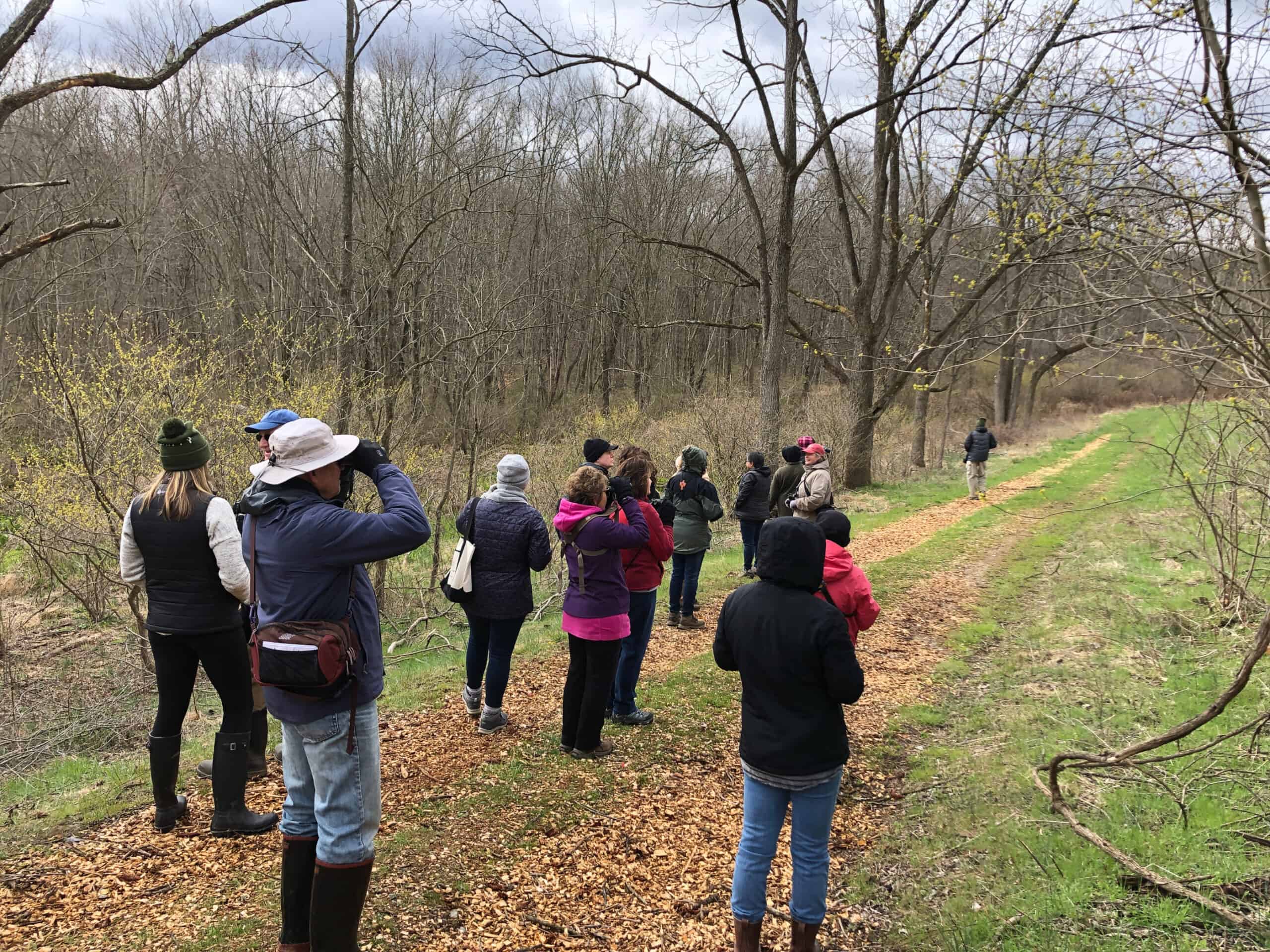 A bunch of people with binoculars birdwatching