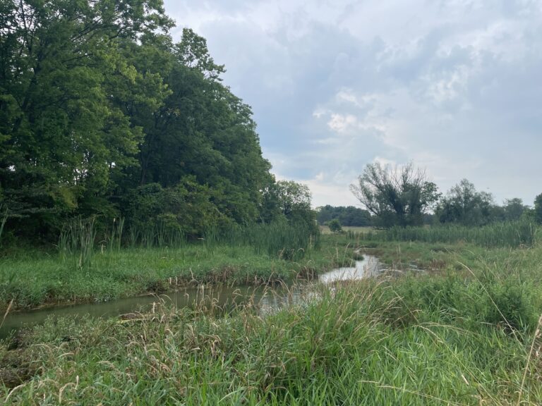 A stream winds through a green meadow under blue skies.