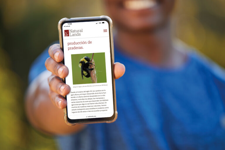 Phone, mockup and blue screen in the hand of a man outdoor for exercise or fitness tracking. Marketing, advertising and green screen with a male athlete holding mobile display to show an app.