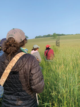 Volunteers in a grassy meadow walking toward a large net put up to trap birds for study