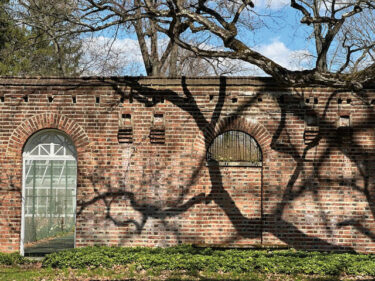 The tall brick walls of a garden area at Oakwell