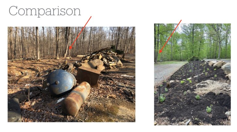 Presentation slide showing then and now for a dump turned into a woodland garden at Warwick Woods