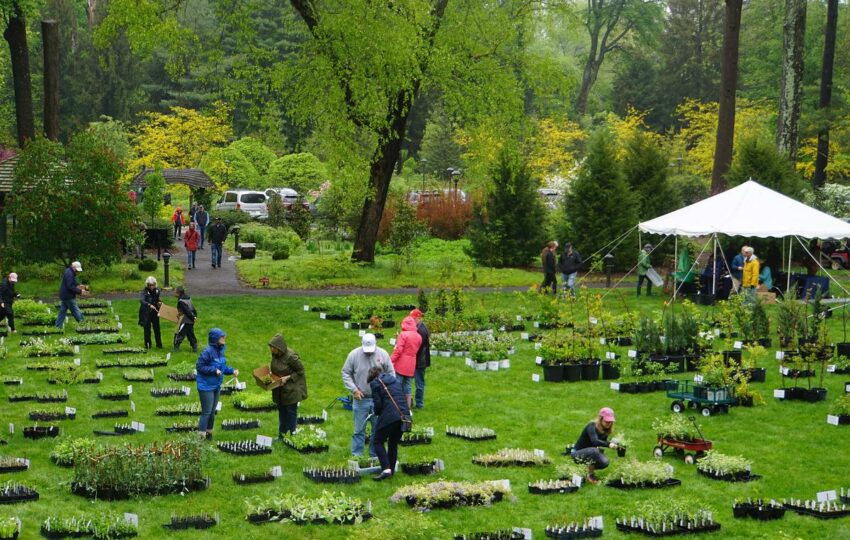 Customers browse the Stoneleigh Native Plant Sale.